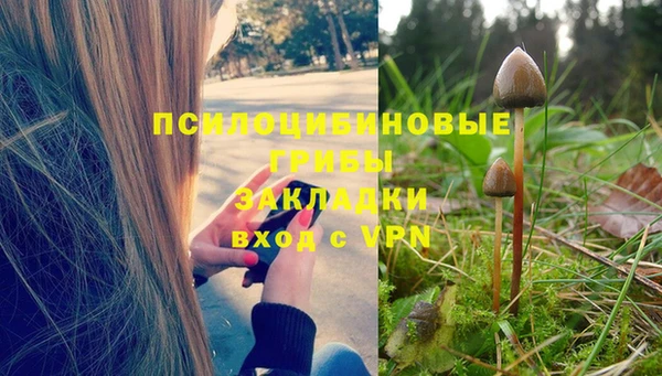 кристаллы Корсаков